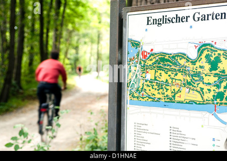 Radfahrer in Englischer Garten, München, Bayern, Deutschland Stockfoto