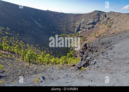 Vulkankrater San Antonio, La Palma, Spanien Stockfoto