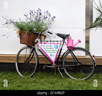 Fahrrad mit Korb und rosa Gießkanne Blume wirbt die RHS an der Hampton Court Palace Flower Show Stockfoto