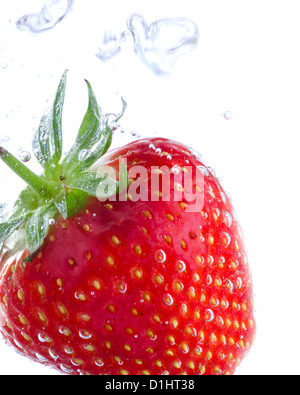 Erdbeere Stockfoto
