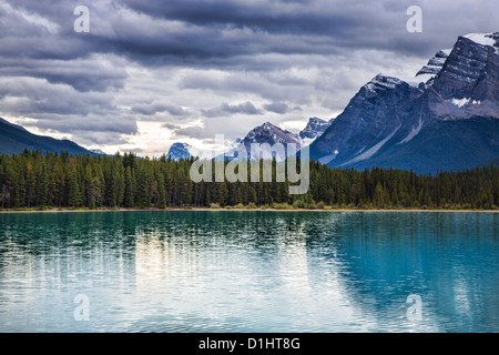 Stürmische bewölkten Tag über Wasservögel See auf dem Icefields Parkway im Banff National Park in Alberta, Kanada in den kanadischen Rockies Stockfoto