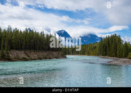 Athabasca River entlang des Icefields Parkway im Jasper National Park in Alberta, Kanada in den kanadischen Rockies Stockfoto