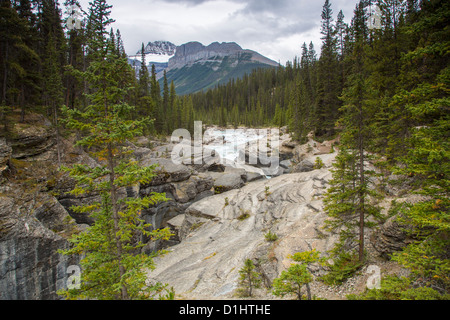 Mistaya Canyon entlang des Icefields Parkway im Banff National Park in Alberta, Kanada in den kanadischen Rockies Stockfoto