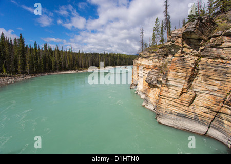 Athabasca River am Athabasca Wasserfälle entlang des Icefields Parkway im Jasper National Park in Alberta, Kanada in den kanadischen Rockies Stockfoto