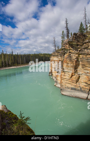 Athabasca River am Athabasca Wasserfälle entlang des Icefields Parkway im Jasper National Park in Alberta, Kanada in den kanadischen Rockies Stockfoto