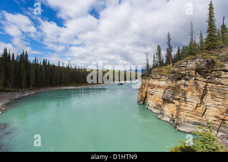 Athabasca River am Athabasca Wasserfälle entlang des Icefields Parkway im Jasper National Park in Alberta, Kanada in den kanadischen Rockies Stockfoto