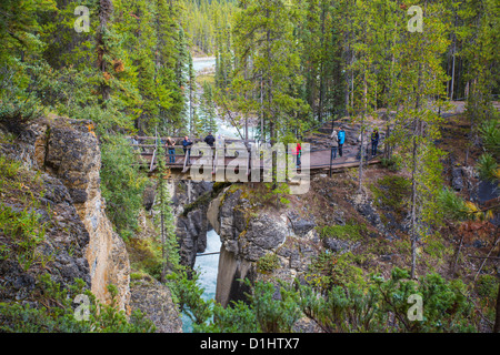 Sunwapta Falls entlang des Icefields Parkway im Jasper National Park in Alberta, Kanada in den kanadischen Rockies Stockfoto