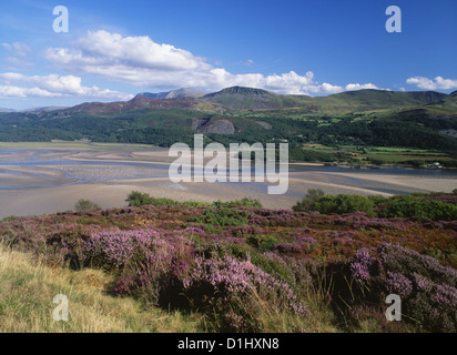 Mawddach Mündung im Spätsommer, Blick nach Süden zum Cadair Idris Snowdonia National Park Gwynedd Mid Wales UK Stockfoto