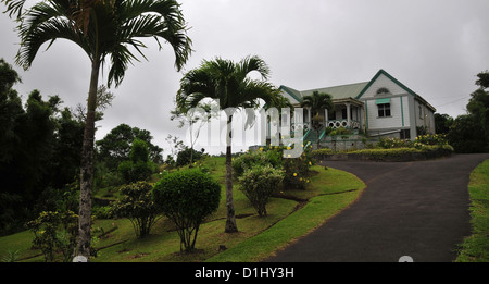 Blick in den Himmel weiß lackierten an der Spitze der Garten Auffahrt, Grand Etang Forest Reserve, Grenada, West Indies Besucherzentrum grau Stockfoto