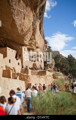 Touristen besuchen Klippenwohnungen Cliff Palace im Mesa-Verde-Nationalpark, Colorado Stockfoto