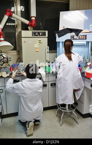 Herstellung von Lab Arbeiter erforschen Zutaten und Chemikalien in einem Textil und Stoff Stockfoto