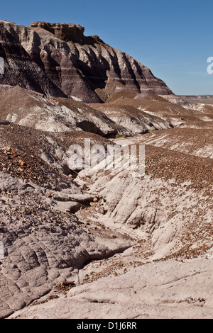 Blick auf die Blue Mesa in der Petrified Forest in Arizona, USA Stockfoto