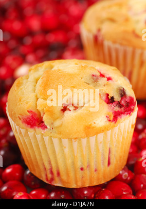 Frisch gebackene Cranberry Muffins ruhen auf einem Bett aus Preiselbeeren Stockfoto