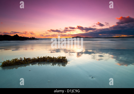 Puerto Villamil, Isabela Island, Galapagos-Inseln, Ecuador Stockfoto