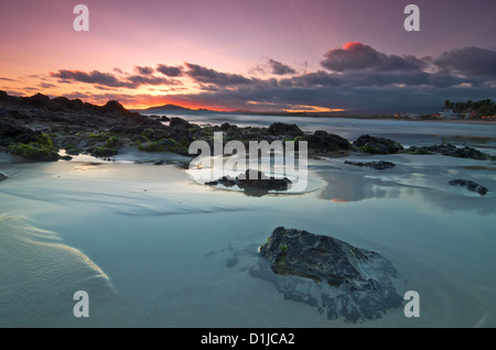 Puerto Villamil, Isabela Island, Galapagos-Inseln, Ecuador Stockfoto