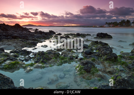 Puerto Villamil, Isabela Island, Galapagos-Inseln, Ecuador Stockfoto