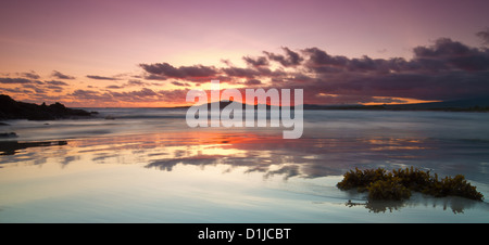 Puerto Villamil, Isabela Island, Galapagos-Inseln, Ecuador Stockfoto