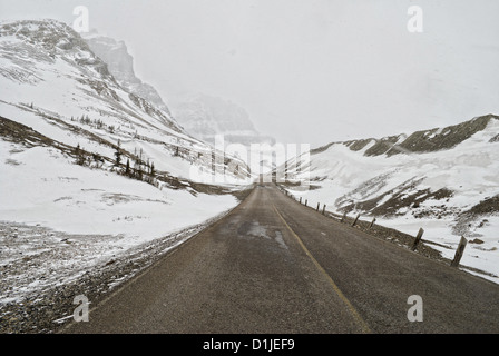 Columbia Icefield im Jasper National Park, AB, Canada Stockfoto