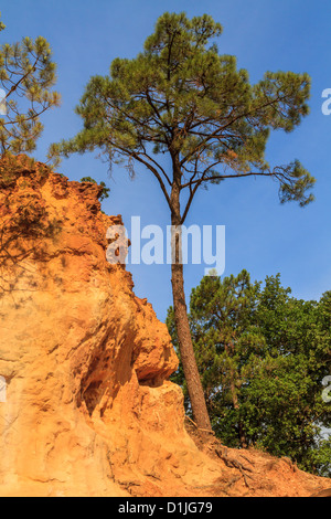 Rote Klippen im Roussillon (Les Ocres), Provence, Frankreich Stockfoto