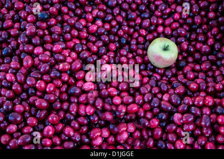 Frische Cranberries im großen Angebot an Lebensmittel-Markt in New York City mit einem Apfel Pink lady Stockfoto