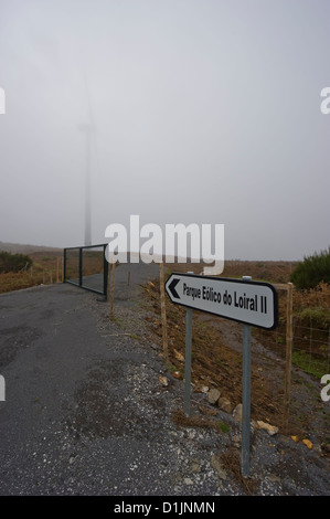 Einem großen Plateau auf 1300 bis 1500 Meter über dem Meeresspiegel auf der Insel Madeira im Atlantischen Ozean Stockfoto