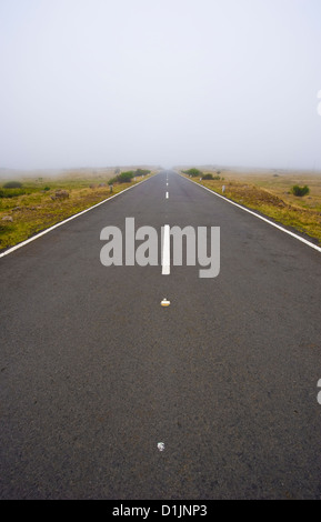 Einem großen Plateau auf 1300 bis 1500 Meter über dem Meeresspiegel auf der Insel Madeira im Atlantischen Ozean Stockfoto