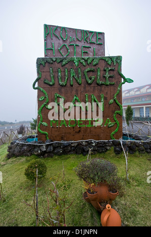 Einem großen Plateau auf 1300 bis 1500 Meter über dem Meeresspiegel auf der Insel Madeira im Atlantischen Ozean. Dschungel-Regen-Inn. Stockfoto