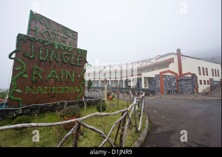 Einem großen Plateau auf 1300 bis 1500 Meter über dem Meeresspiegel auf der Insel Madeira im Atlantischen Ozean. Dschungel-Regen-Inn. Stockfoto