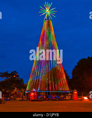 Weihnachtsbaum in Latimer Square Christchurch Neuseeland Stockfoto