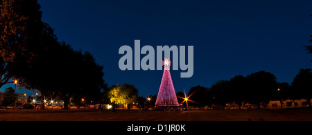 Weihnachtsbaum in Latimer Square Christchurch Neuseeland Stockfoto