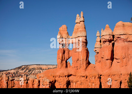 bunten Felsformationen des Bryce Canyon National Park, Vereinigte Staaten von Amerika, USA Stockfoto