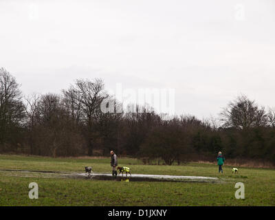 Croydon, Surrey, UK. 26. Dezember 2012. Trotz der Nässe Weihnachtstag waren Menschen trainieren ihre Hunde in Lloyd Park, Croydon. 26. Dezember 2012. Stockfoto