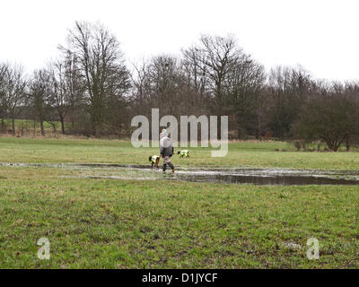 Croydon, Surrey, UK. 26. Dezember 2012. Trotz der Nässe Weihnachtstag waren Menschen trainieren ihre Hunde in Lloyd Park, Croydon. 26. Dezember 2012. Stockfoto