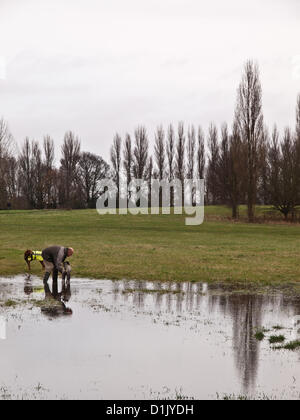 Croydon, Surrey, UK. 26. Dezember 2012. Trotz der Nässe Weihnachtstag waren Menschen trainieren ihre Hunde in Lloyd Park, Croydon. 26. Dezember 2012. Stockfoto