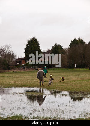 Croydon, Surrey, UK. 26. Dezember 2012. Trotz der Nässe Weihnachtstag waren Menschen trainieren ihre Hunde in Lloyd Park, Croydon. 26. Dezember 2012. Stockfoto