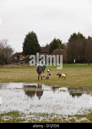 Croydon, Surrey, UK. 26. Dezember 2012. Trotz der Nässe Weihnachtstag waren Menschen trainieren ihre Hunde in Lloyd Park, Croydon. 26. Dezember 2012. Stockfoto