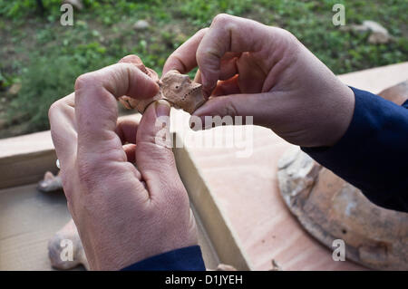 Kleine Keramik Figuren ausgegraben am Tel Motza belegen seltene religiöse Praktiken und Rituale in den frühen Tagen des Königreichs Juda. Motza, Israel. 26. Dezember 2012.  Ein Tempel, Keramik Figuren und andere Artefakte bietet seltene Zeugnis von einem rituellen Kult im Großraum Jerusalem zu Beginn der Monarchie-Periode, von der Israel Antiquities Authority am Tel Motza bei Ausgrabungen freigelegt. Stockfoto