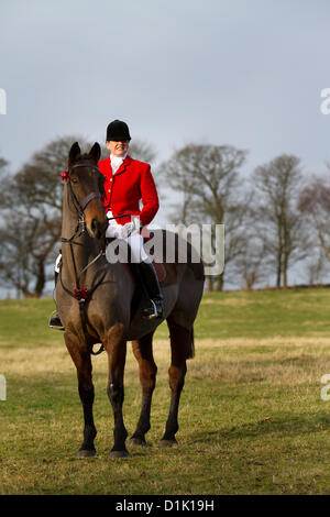 Horwich bei Bolton, Lancashire Mittwoch, 26th. Dezember 2012: Susan Simmons ist die Senior Lady Master of the Holcombe Hunt, auf ihrem Pferd Taffy, in Rivington, wo Pferde und Reiter zur jährlichen Boxing Day Hunt zusammenkommen. Stockfoto