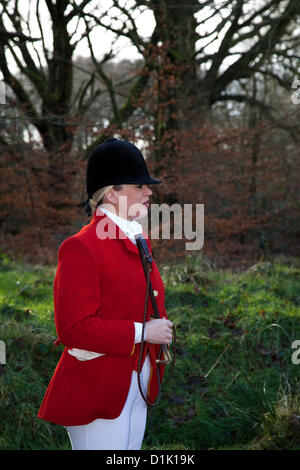 Horwich bei Bolton, Lancashire Mittwoch, 26th. Dezember 2012: Susan Simmons ist die Senior Lady Master of the Holcombe Hunt, auf ihrem Pferd Taffy, in Rivington, wo Pferde und Reiter zur jährlichen Boxing Day Hunt zusammenkommen. Stockfoto