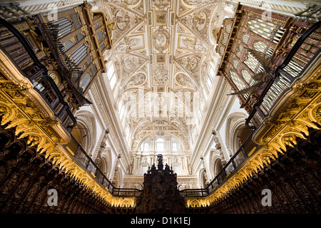 Lunette Gewölbe über dem Mahagoni Chor Stände in herrlichen Kathedrale Mezquita in Córdoba, Andalusien, Spanien. Stockfoto