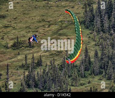 30. Juni 2012 steigt - Girdwood, Alaska, USA - A Gleitschirm im Flug, nach dem Start von der Nordwand des Mt Alyeska, über die hoch aufragenden Fichten in Girdwood Tal sitzt in einem Kabelbaum unter den bunten Stoff Flügel aufgehängt. Mt. Alyeska, der größten Skiberg im Zustand, liegt in Girdwood, Alaska, 27 Meilen (44Â km) von Anchorage, ein Lieblings Startplatz für Gleitschirmflieger. (Kredit-Bild: © Arnold Drapkin/ZUMAPRESS.com) Stockfoto