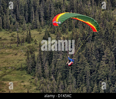 30. Juni 2012 steigt - Girdwood, Alaska, USA - A Gleitschirm im Flug, nach dem Start von der Nordwand des Mt Alyeska, über die hoch aufragenden Fichten in Girdwood Tal sitzt in einem Kabelbaum unter den bunten Stoff Flügel aufgehängt. Mt. Alyeska, der größten Skiberg im Zustand, liegt in Girdwood, Alaska, 27 Meilen (44Â km) von Anchorage, ein Lieblings Startplatz für Gleitschirmflieger. (Kredit-Bild: © Arnold Drapkin/ZUMAPRESS.com) Stockfoto