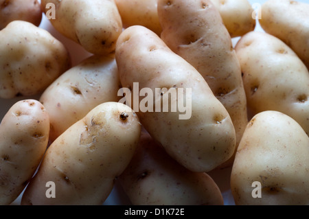 Anya Kartoffeln Stockfoto