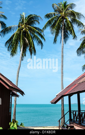 Kokosnuss Palmen oben Strandbungalows am Hut Mae Nam auf Ko Samui in Südthailand Stockfoto