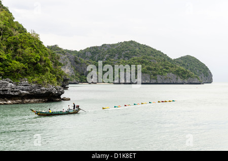 Longtail-Boot zieht 11 Seekajaks von Inseln mit Kalksteinfelsen im Ang Thong Marine National Park in Süd-Thailand Stockfoto