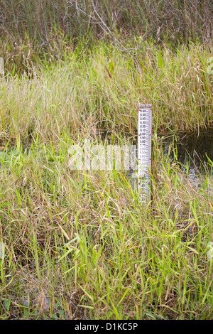 Wasserstand Marker in th eFlorida Everglades Nationalpark Stockfoto