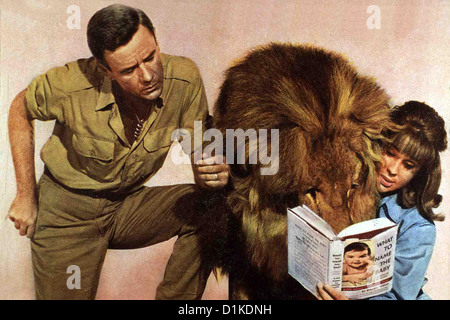 Clarence, Der Schielende Loewe Clarence Crosseyed Lion Marshall Thompson, Cheryl Miller Dr. Marsh Tracy (Marshall Thompson) Stockfoto