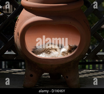 Katze in ein Chiminea. Stockfoto