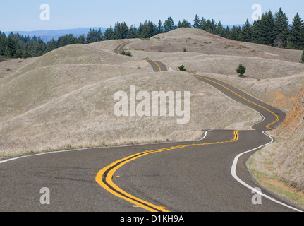 Kurvenreiche Straße in Marin County, Kalifornien. Stockfoto