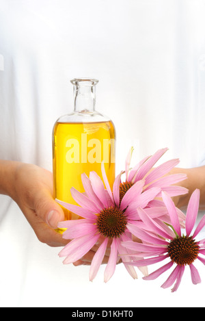 Hände der Frau mit ätherischen Ölen und frischen Kegel Blumen Stockfoto